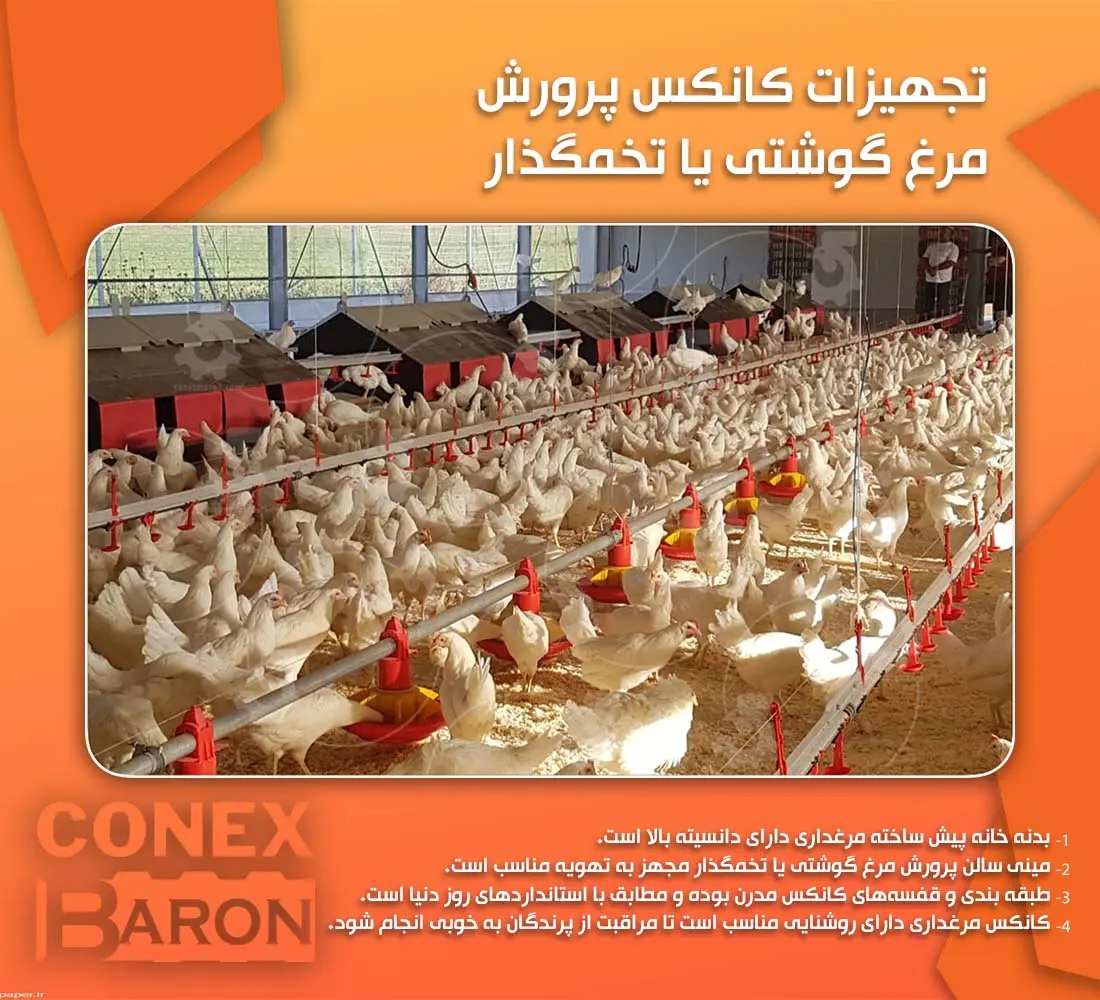 Breeding kennel equipment Broiler or egg laying chicken